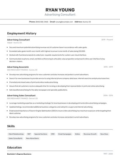 Resume example 2