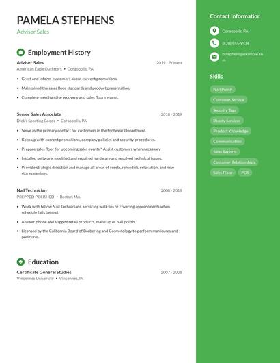 Resume example 4