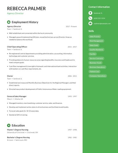Agency Director Resume