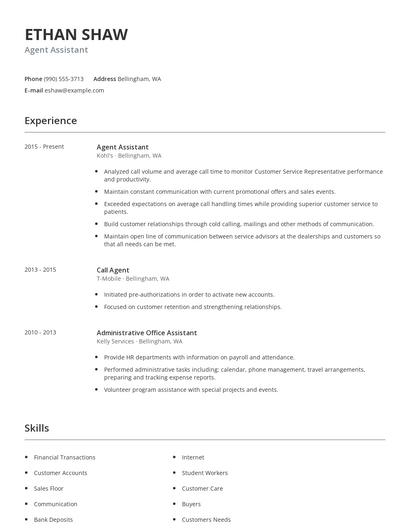 Agent Assistant Resume