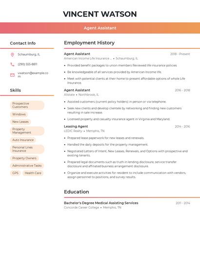 Resume example 3