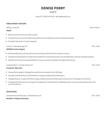 Agent Resume