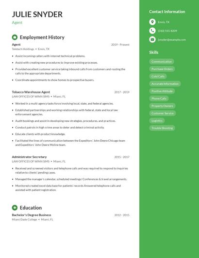 Resume example 4