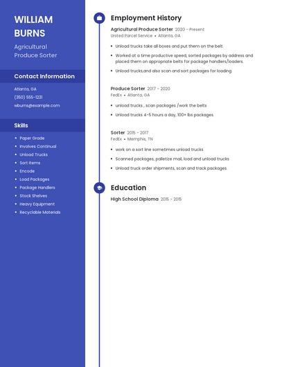Agricultural Produce Sorter Resume
