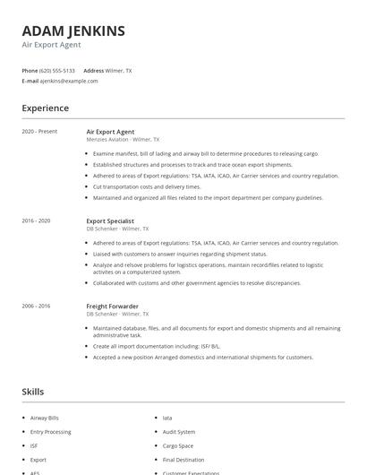 Air Export Agent Resume