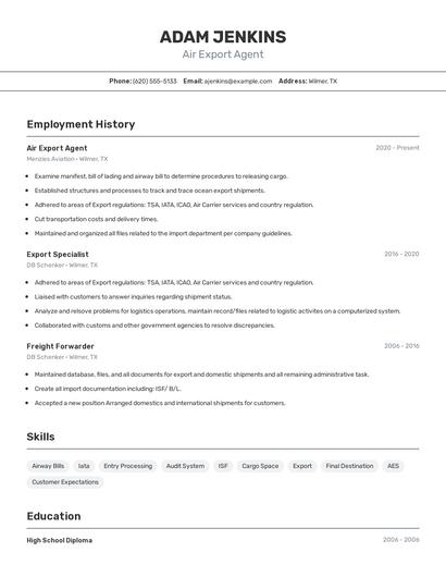 Air Export Agent Resume
