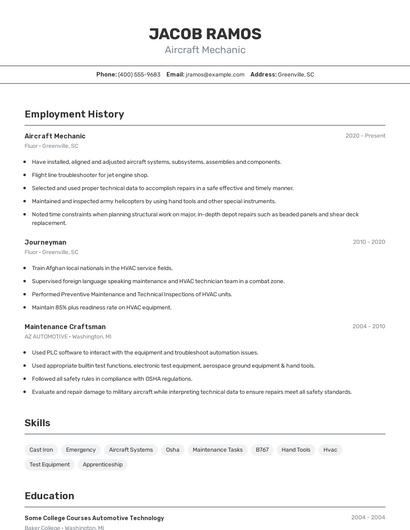 Resume example 2
