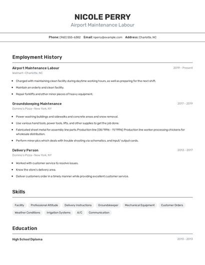 Resume example 2