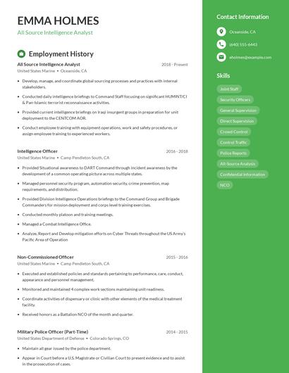Resume example 4