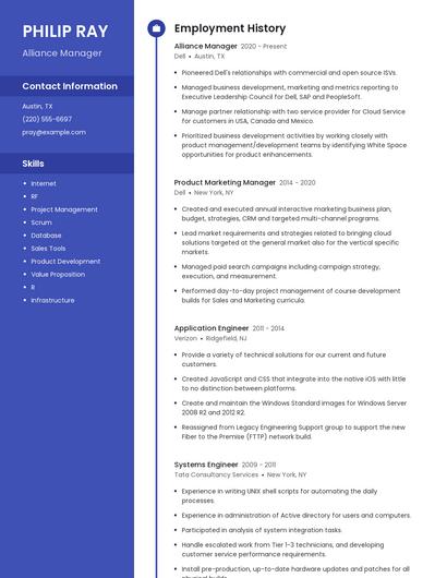 Alliance Manager Resume