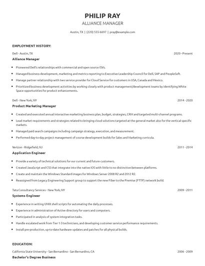 Alliance Manager Resume