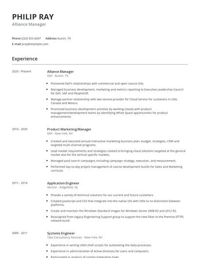 Alliance Manager Resume