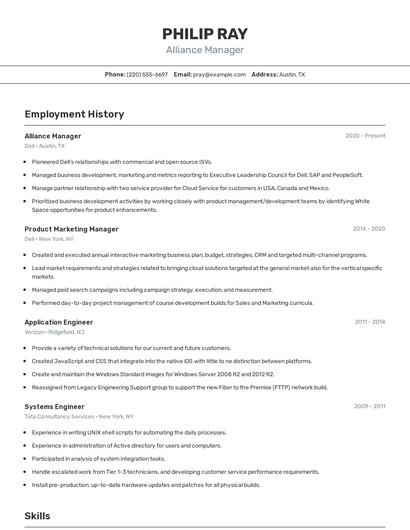 Alliance Manager Resume