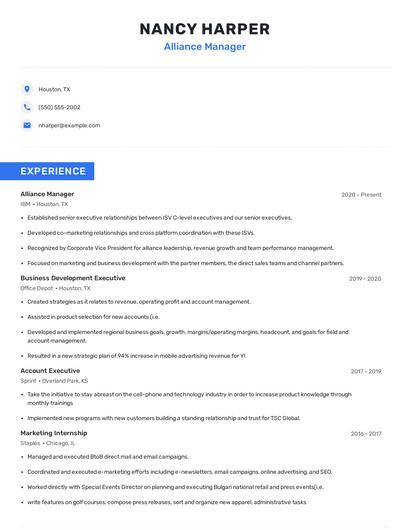 Alliance Manager Resume