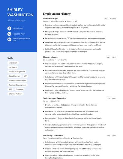 Alliance Manager Resume