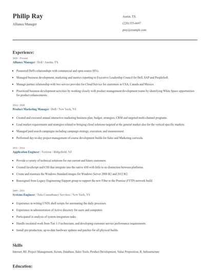 Alliance Manager Resume