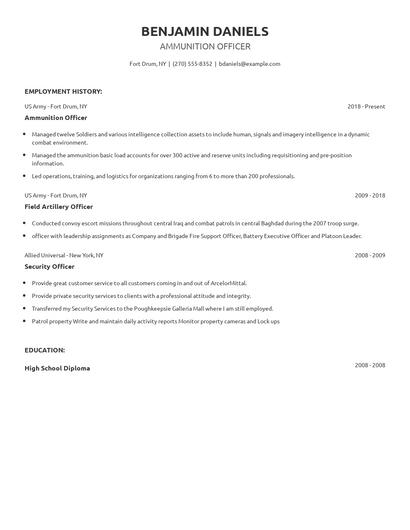 Ammunition Officer Resume