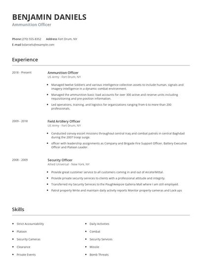 Ammunition Officer Resume