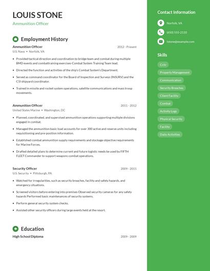 Ammunition Officer Resume