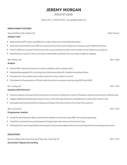 Analyst Lead Resume