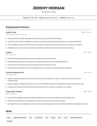 Resume example 2