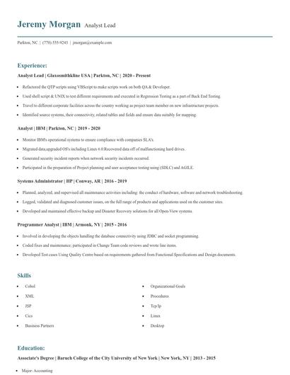 Analyst Lead Resume