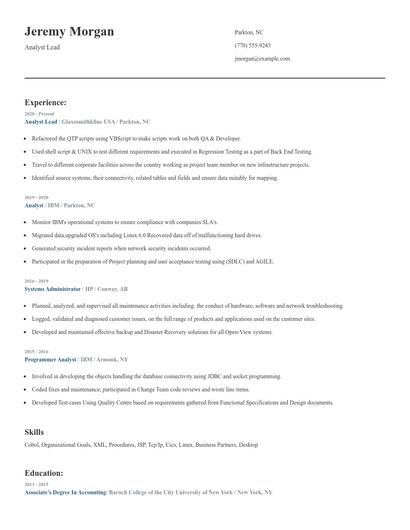 Analyst Lead Resume