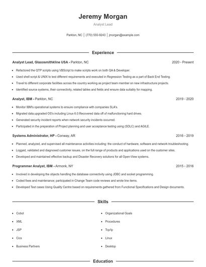 Analyst Lead Resume
