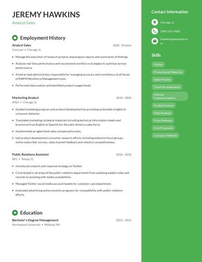 Resume example 4
