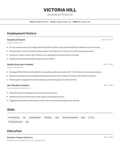 Resume example 2