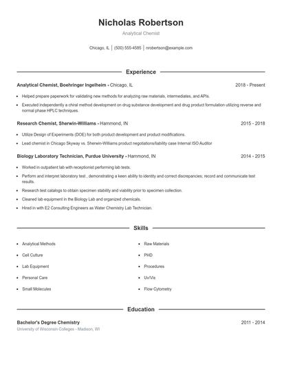 Resume example 1
