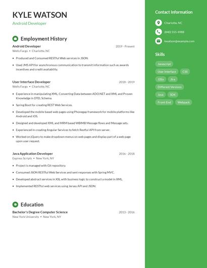 Resume example 5