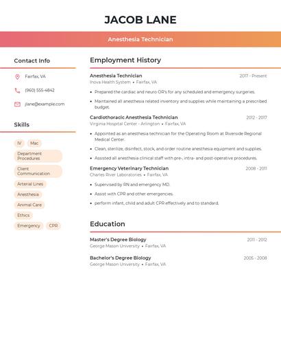 Resume example 3