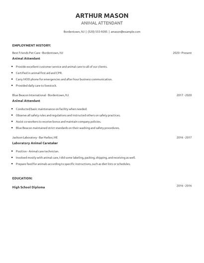 Animal Attendant Resume