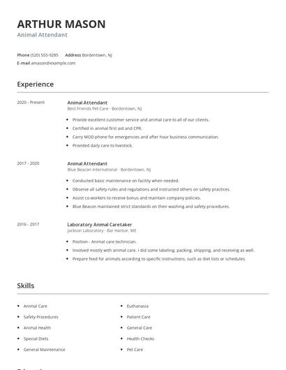Animal Attendant Resume