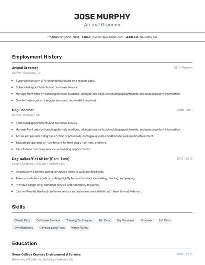 Animal Groomer Resume