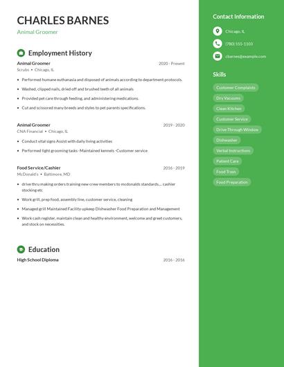 Animal Groomer Resume