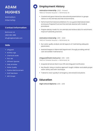 Resume example 4