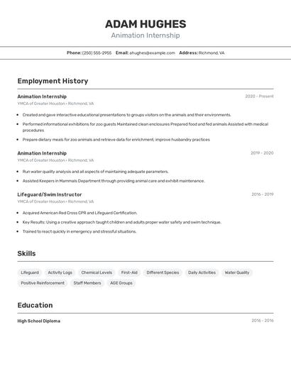 Resume example 2