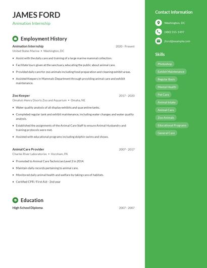 Resume example 5