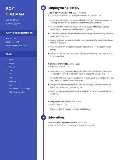 Application Consultant Resume