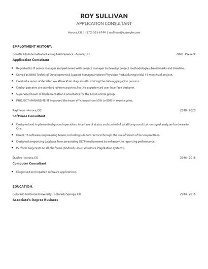 Application Consultant Resume