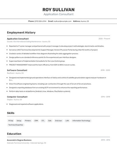 Application Consultant Resume