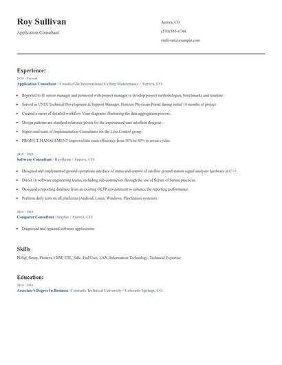 Application Consultant Resume