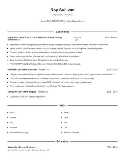 Application Consultant Resume