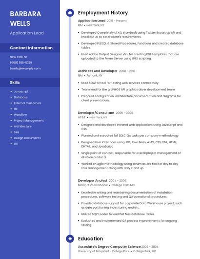 Application Lead Resume