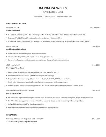 Application Lead Resume