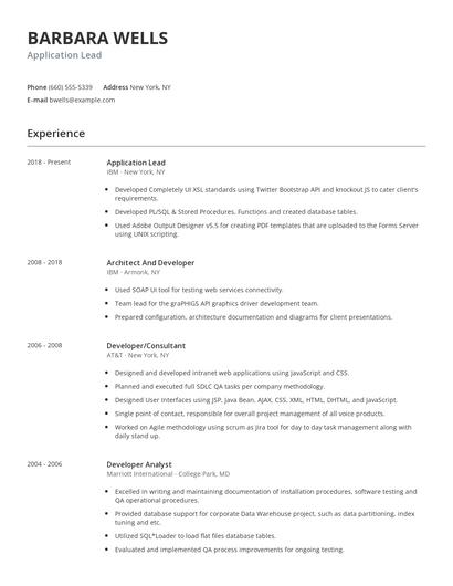 Application Lead Resume