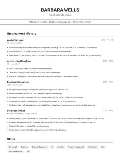 Application Lead Resume