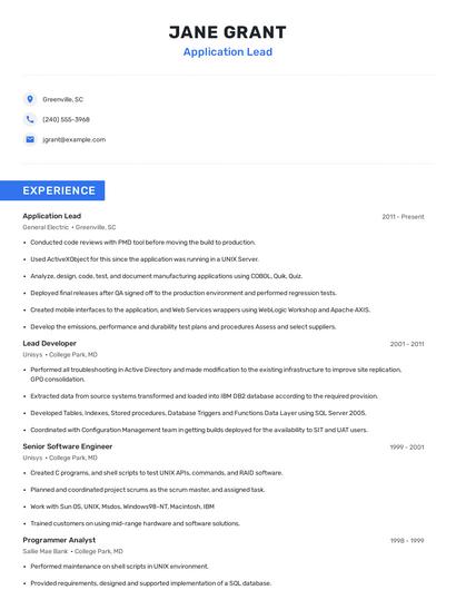 Application Lead Resume